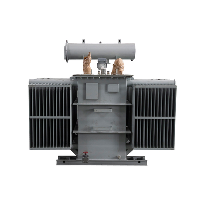 ترانسفورماتور برق سیستم 10kv Sea Grey